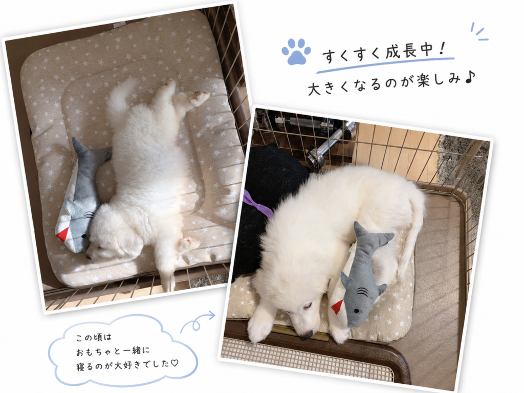 生後4か月画像