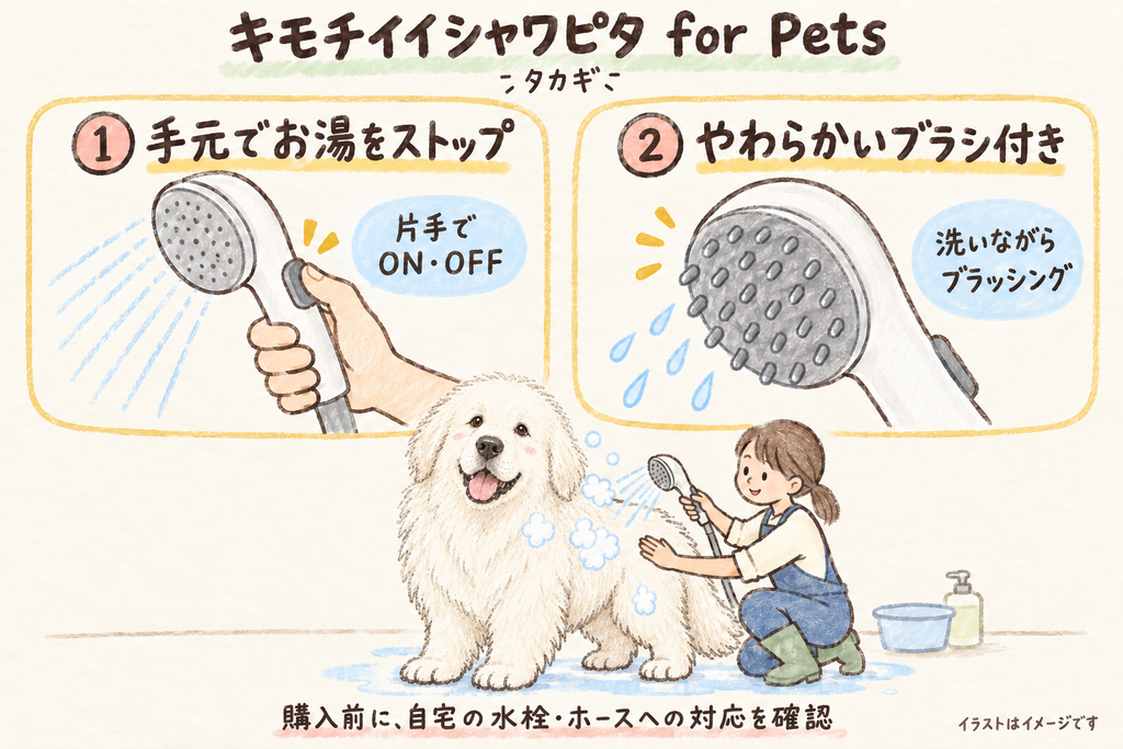 シャワピタ