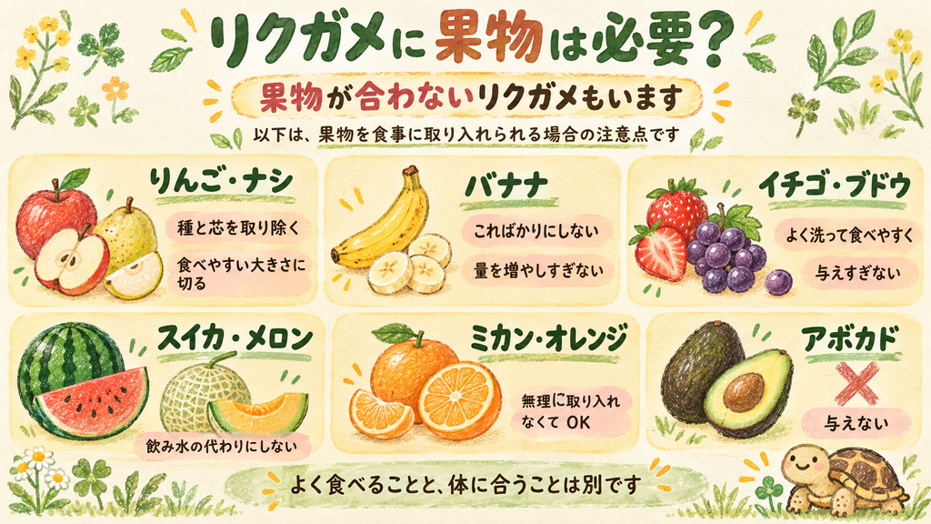 果物まとめ