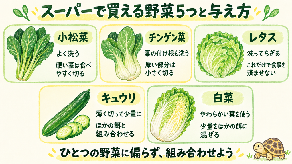 野菜まとめ