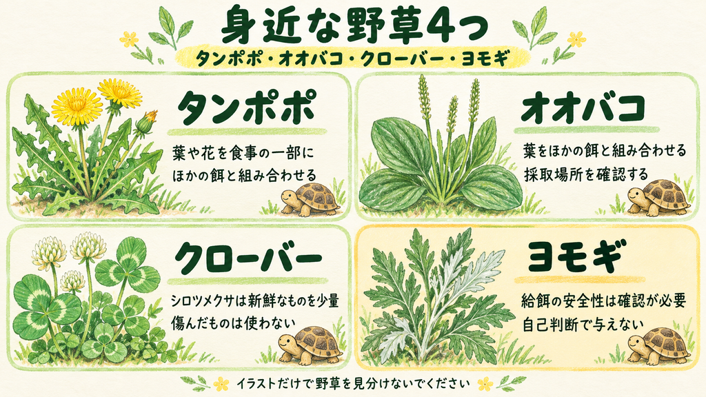 野草まとめ